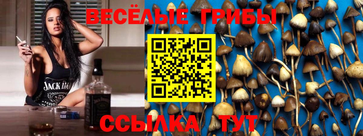 Галлюциногенные грибы Magic Shrooms  Вход с VPN  Екатеринбург 